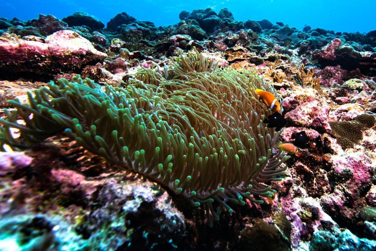 Bangaram Island Beach Resort Kültér fotó
